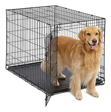 large dog crate target